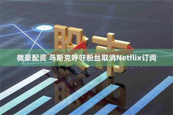 微豪配资 马斯克呼吁粉丝取消Netflix订阅