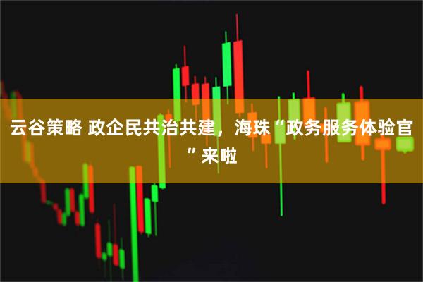 云谷策略 政企民共治共建，海珠“政务服务体验官”来啦